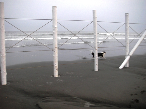 f0034602_2214150.jpg