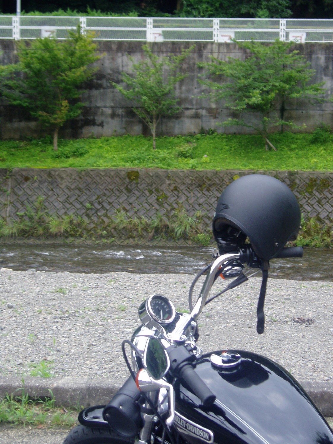 a0079019_12424295.jpg