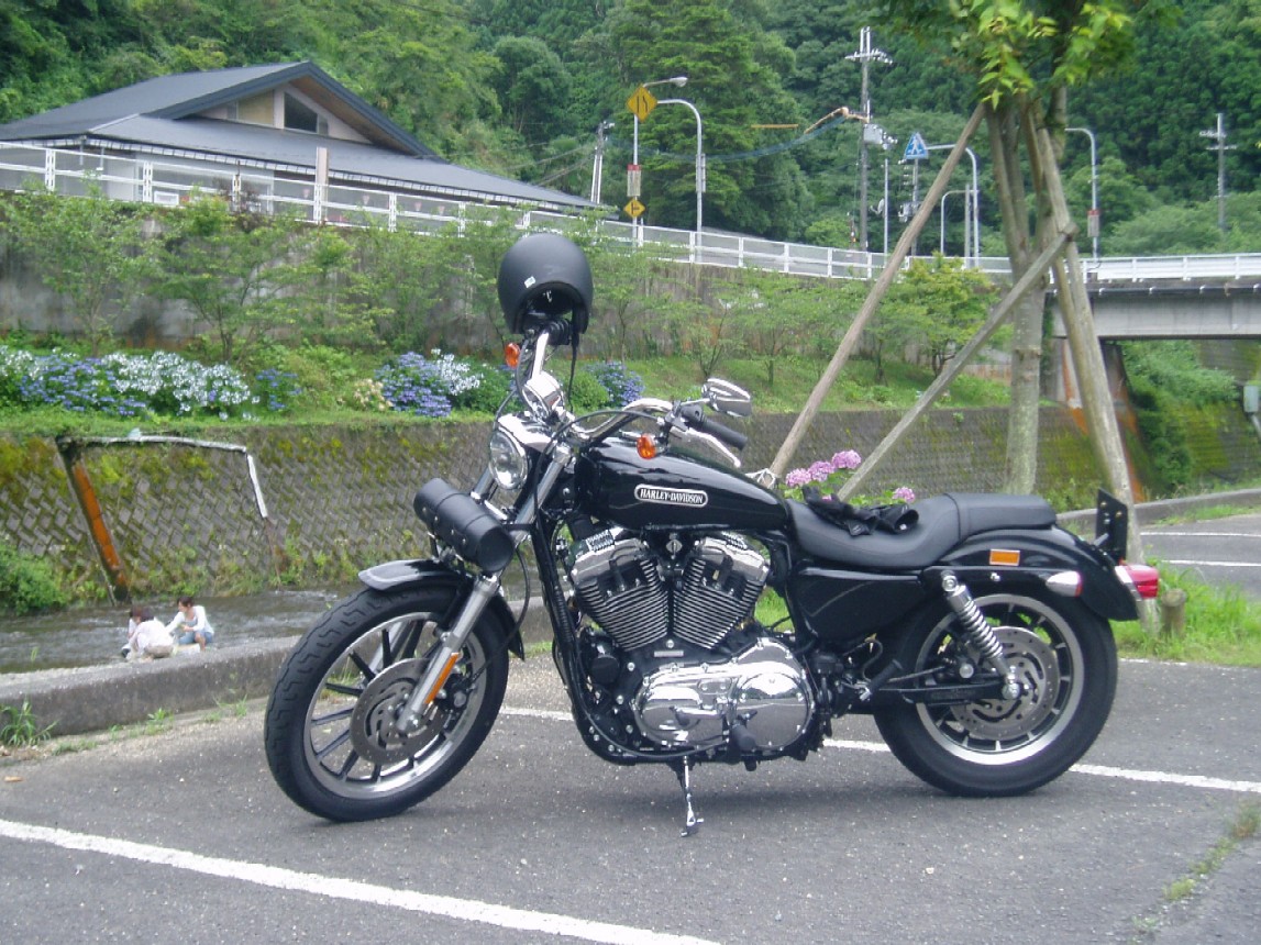 a0079019_12431793.jpg