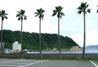 f0060428_10245066.jpg