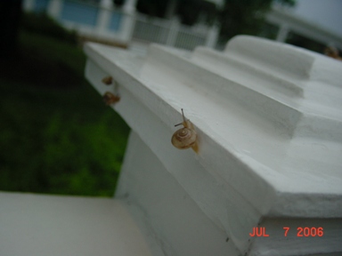 c0038548_11155515.jpg
