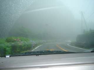2006年7月8日 今日はこれで行くよ。_b0098584_2352616.jpg