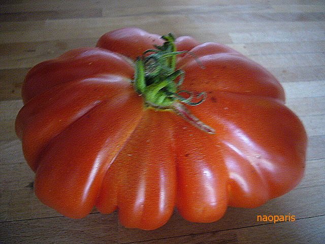 ■COEUR-DE-BOEUF(牛の心臓）という名前のトマトを食す（ボルドー）_a0014299_17333174.jpg