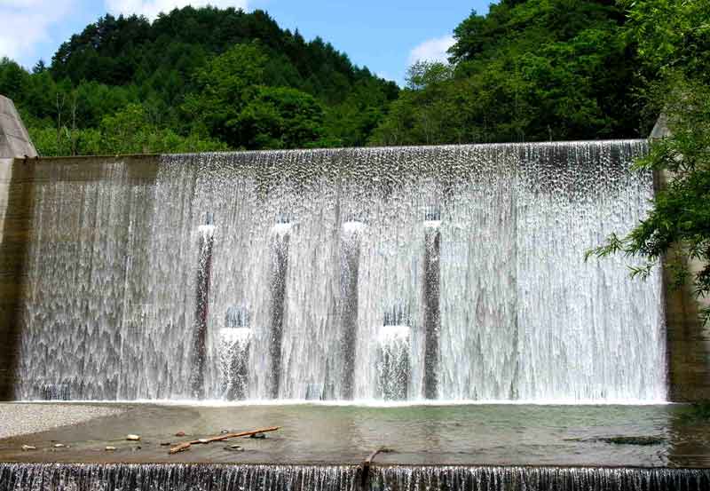 e0001110_2351427.jpg