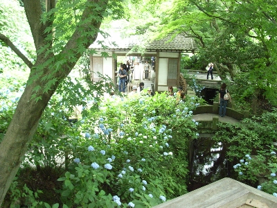 f0040711_1656957.jpg