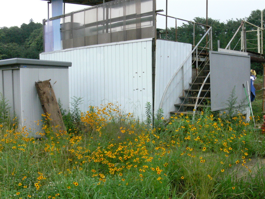 b0065730_21215123.jpg