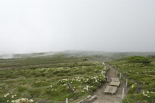 大雪山・お鉢平。_e0025030_1925242.jpg