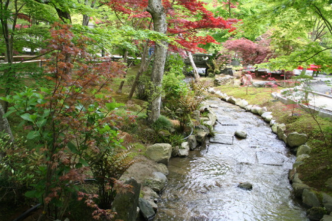 f0017530_10135928.jpg