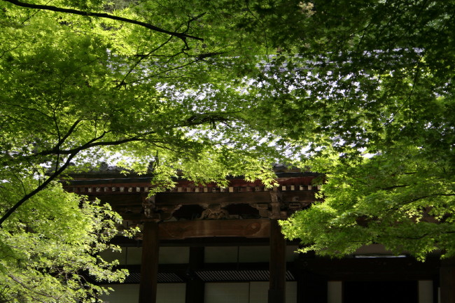 f0017530_1091598.jpg