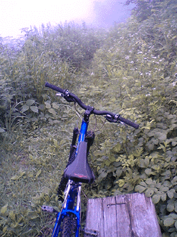 a0026445_014479.gif