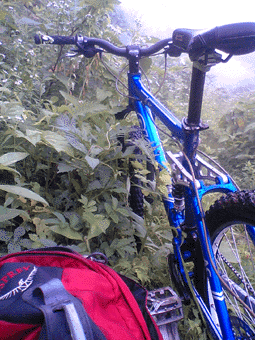 a0026445_0335695.gif
