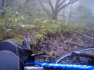 a0026445_0374494.gif