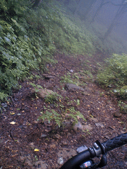 a0026445_0392240.gif