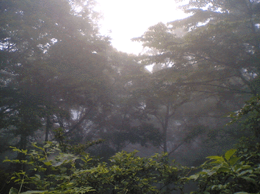 a0026445_074990.gif