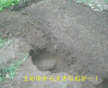 a0011358_20341160.jpg
