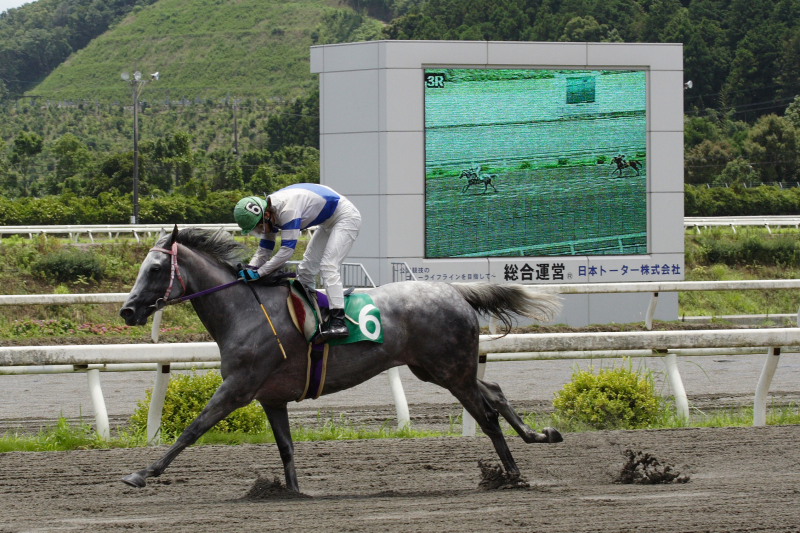 赤岡修次騎手、通算勝利800勝達成！！_a0077663_1744621.jpg