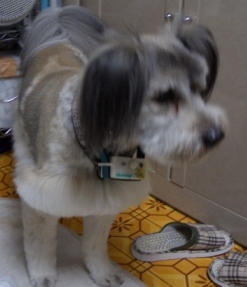 e0000571_22162730.jpg