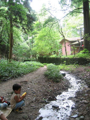 京都まちなか水案内２・瓜生山の沢_c0069903_7505841.jpg