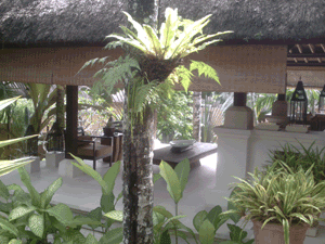 d0038319_9204434.gif