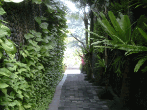 d0038319_923874.gif