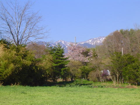 巣立ち_c0057821_5544251.jpg