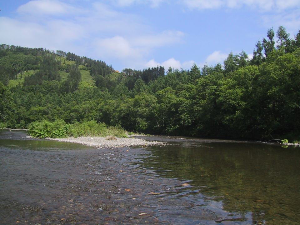 e0086526_10501390.jpg