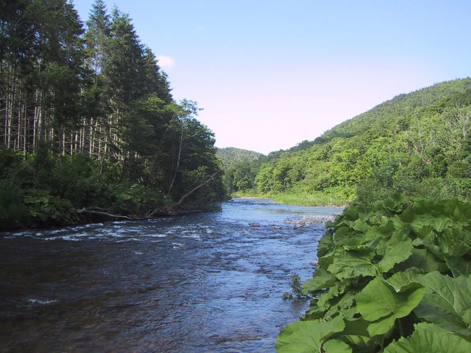 e0086526_118627.jpg