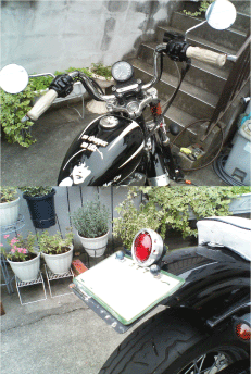 c0006028_11275721.gif