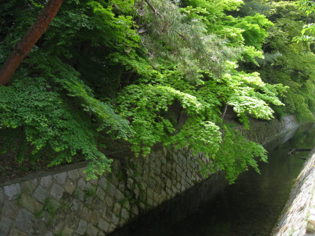 f0017530_21394716.jpg