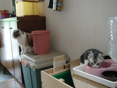 ただいま・・その2_b0053645_10513390.jpg