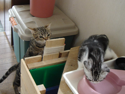 ただいま・・その2_b0053645_1052514.jpg