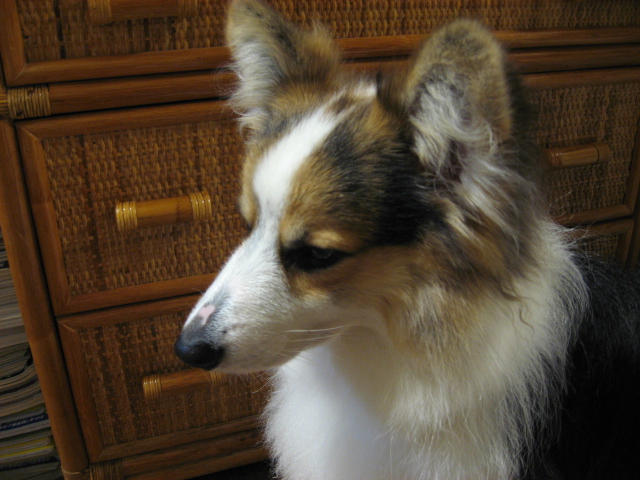 b0097747_94519.jpg