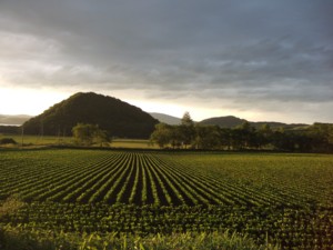 屈斜路湖原野ユースの日々_e0006048_09256.jpg