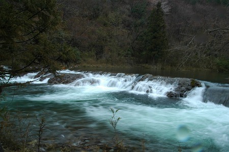 a0072950_1431775.jpg