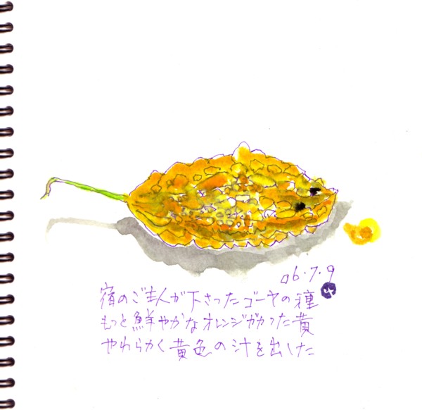 苦瓜は栄養があるだけでないのよ!_e0074955_7164786.jpg