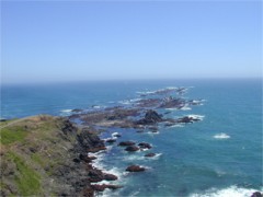 b0086858_17933.jpg