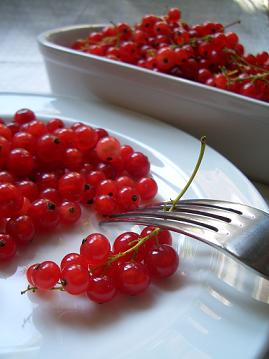 f0047363_12152.jpg