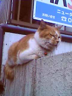 c0069766_19514186.jpg