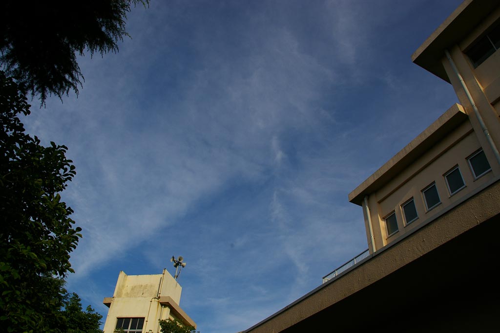e0071178_2024444.jpg