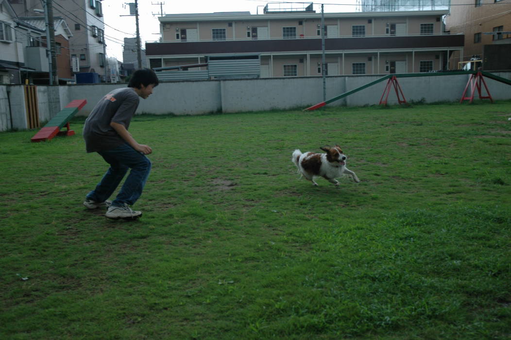 c0075585_1221733.jpg