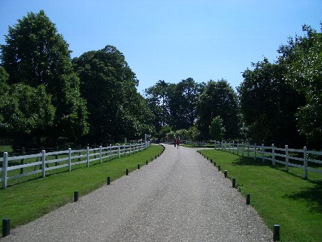 f0046489_4131267.jpg