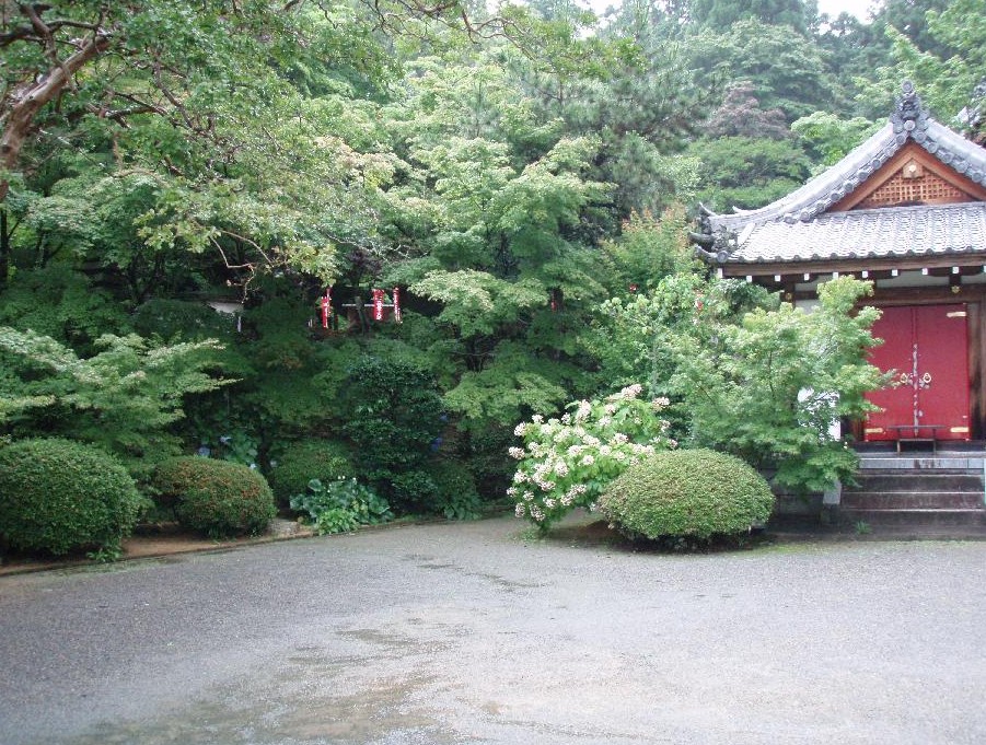 紫陽花を見に都麻乃郷「あじさい園」西林寺へ・・・紫陽花パートⅠ・・・その３_d0051106_22314854.jpg