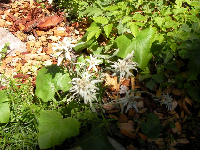 f0038407_64011.jpg