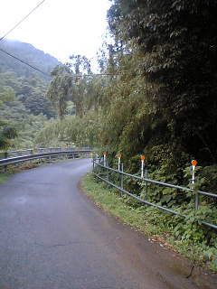高尾トレイルラン_a0036808_1852381.jpg