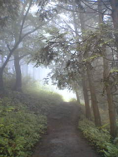 高尾トレイルラン_a0036808_1861383.jpg