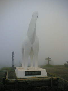 高尾トレイルラン_a0036808_1875774.jpg