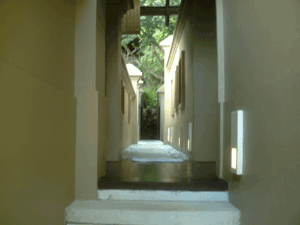 d0038319_133644100.gif