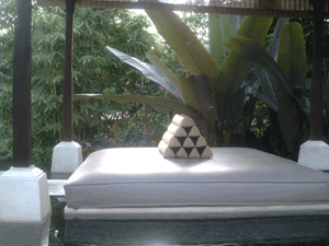 d0038319_1405823.gif