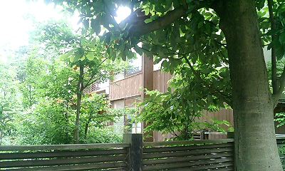 b0097729_14341463.jpg