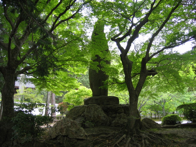 f0017530_21251046.jpg